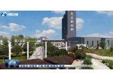 河南卫视聚焦：平桥区大力“招才引智” 为创