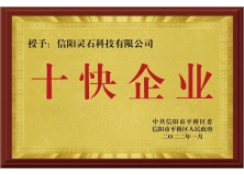 信阳市灵石科技有限公司荣获“十快企业”荣誉称号