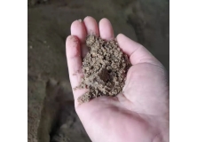 水泥矿化料的实验方案